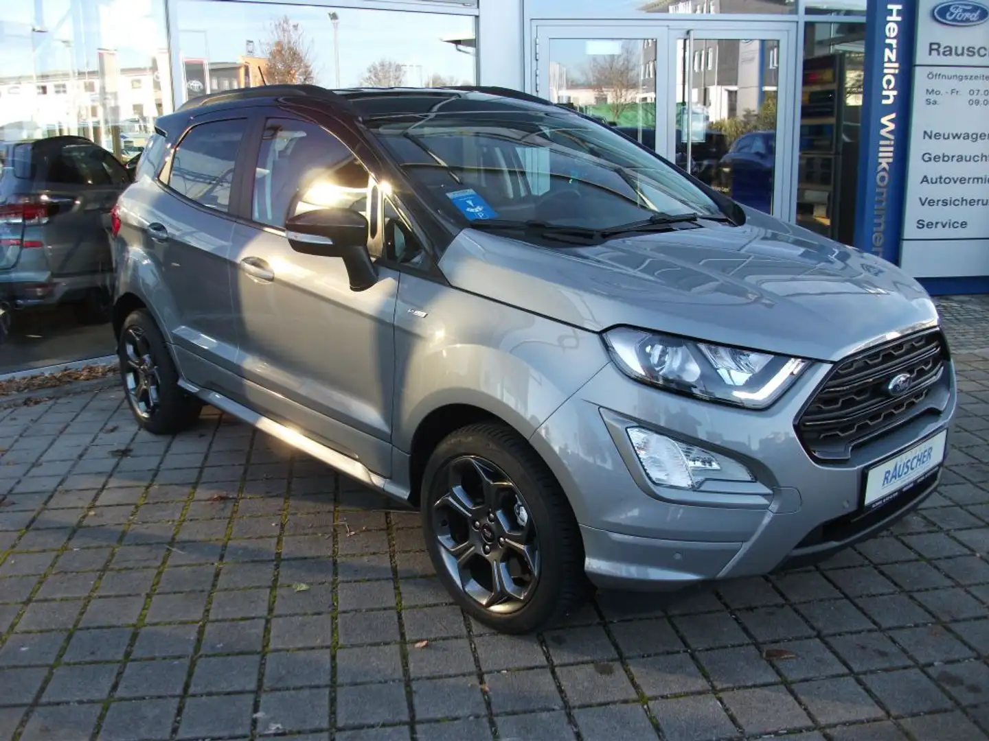 Ford EcoSport 1.0 EcoBoost ST-LINE Silver - 2