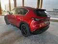 Mazda CX-5 2.5 e-Skyactiv-G 141cv Hybrid *PROMO DI LANCIO* Rouge - thumbnail 8