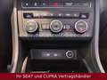 SEAT Ateca Style Edition 1.0 TSI 110 PS CAM*PDC*Sitzh Wit - thumbnail 12