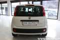 Fiat Panda Panda III 2021 1.0 firefly hybrid Easy Bianco - thumbnail 5