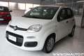 Fiat Panda Panda III 2021 1.0 firefly hybrid Easy Bianco - thumbnail 3