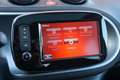 smart forFour EQ BRABUS Style 18 kWh + CAMERA / STOELVERWARING V Grijs - thumbnail 41