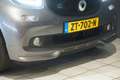 smart forFour EQ BRABUS Style 18 kWh + CAMERA / STOELVERWARING V Grijs - thumbnail 27