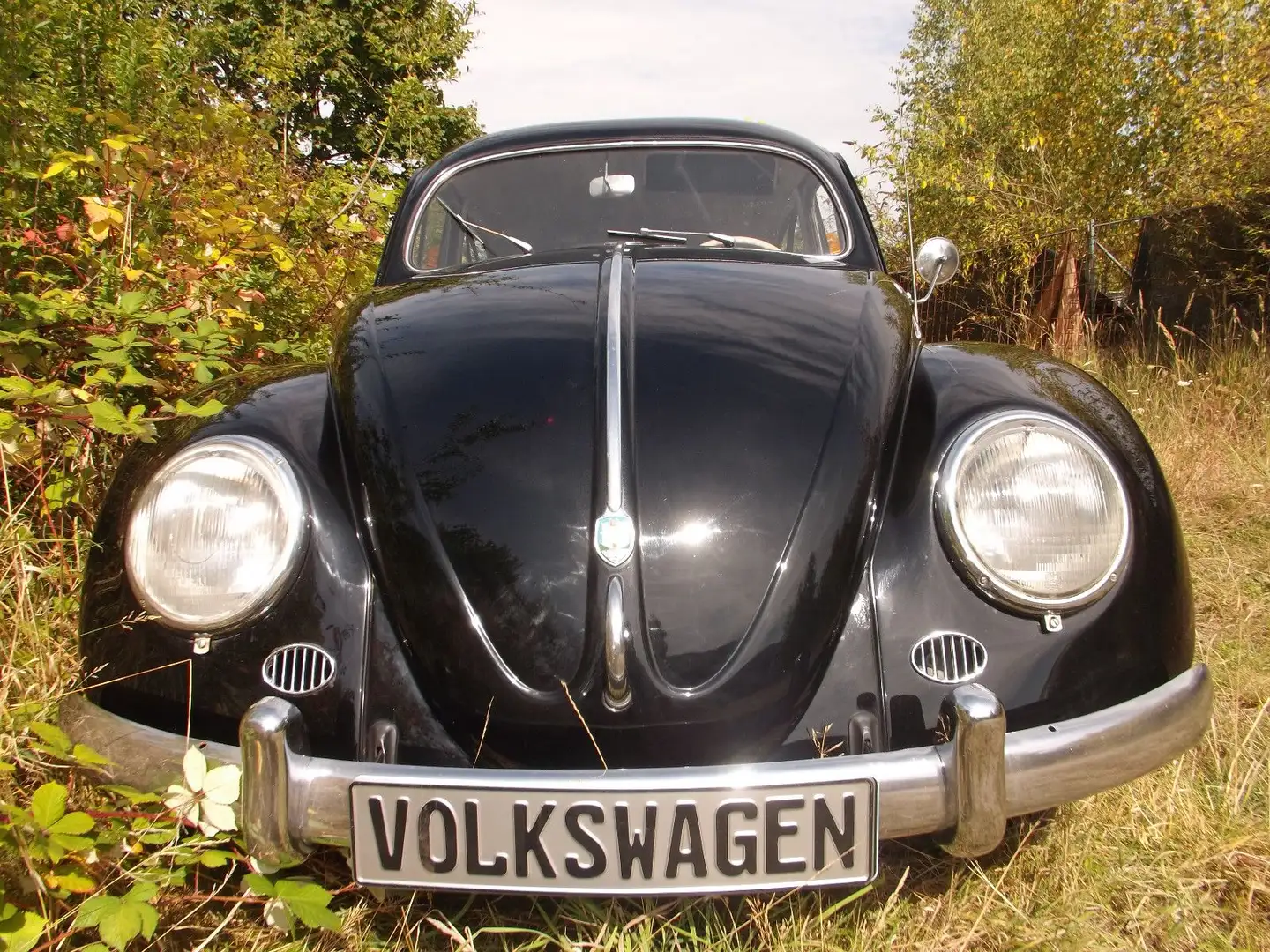 Volkswagen Käfer -in seltener & attraktiver Farbkombination! Noir - 2