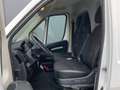 Peugeot Boxer Koelwagen 335 2.0 BlueHDI L3H2 Premium Alb - thumbnail 8