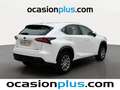 Lexus NX 300 300h Corporate 2WD + Navibox Blanco - thumbnail 4