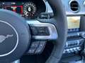 Ford Mustang V8 GT Cabrio Automatik Schwarz - thumbnail 19