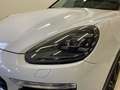 Porsche Cayenne 3.0 Diesel Aut. * PELLE * White - thumbnail 32