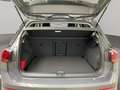 Volkswagen Golf VIII Goal (AHK.Navi.DAB+) 1.5 TSI Grau - thumbnail 9