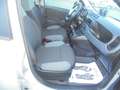 Fiat Panda Panda 0.9 t.air t. 4x4 s&s  48651  km.  CERT. Grigio - thumbnail 9