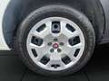 Fiat Doblo 1.4 N.P(ALLESTITO EX RETE GAS-PC-TN)POCHI KM CERTI Blanc - thumbnail 24