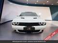 Dodge Challenger Tout compris hors homologation 4500e Blanc - thumbnail 11