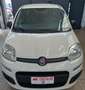 Fiat Panda 1.2 Easy Blanc - thumbnail 1