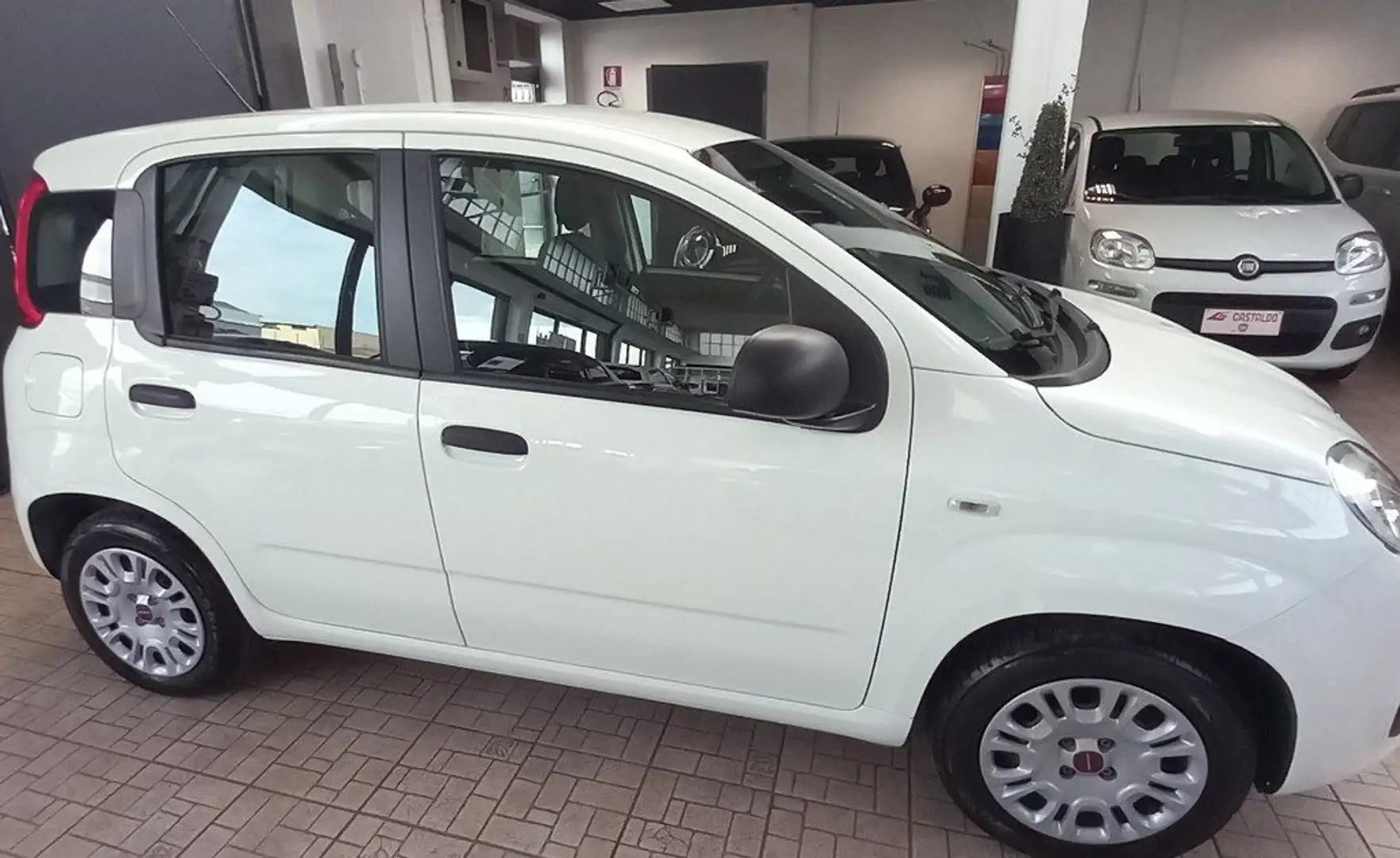 Fiat Panda 1.2 Easy Blanc - 2