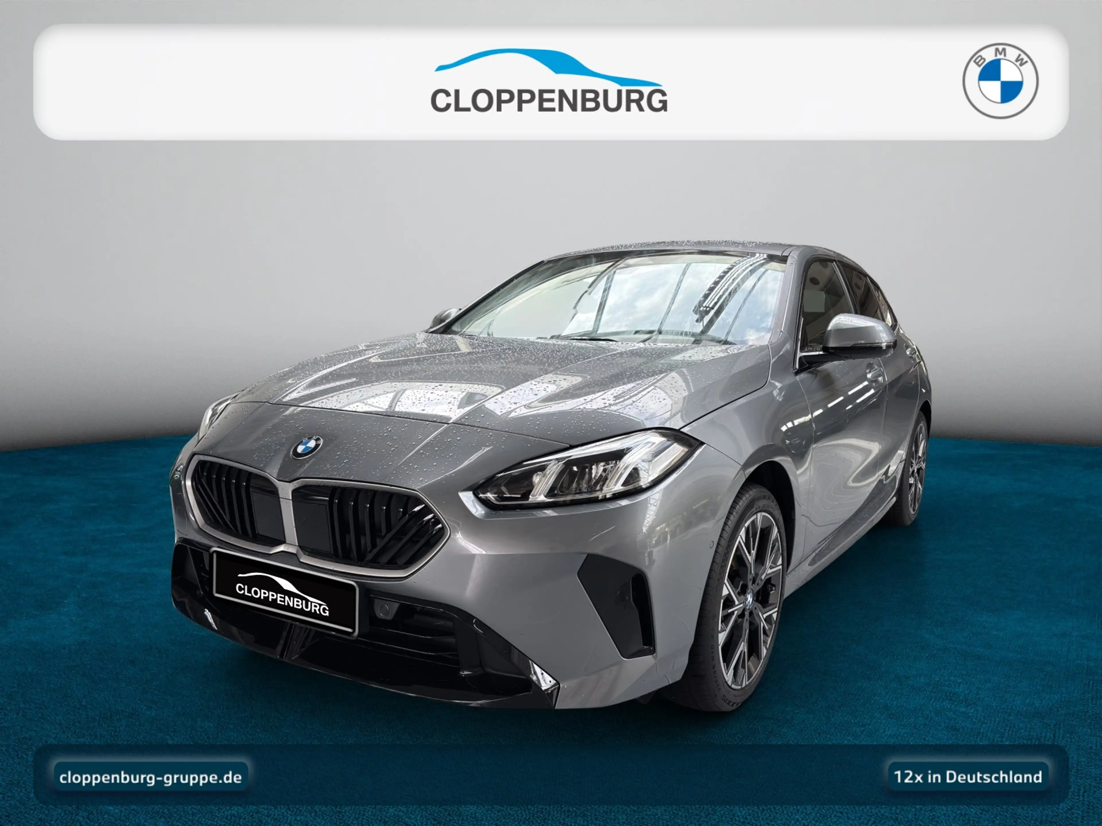 BMW 120 Navi+Kamera+SHZ+Apple+HiFi+Spurass.