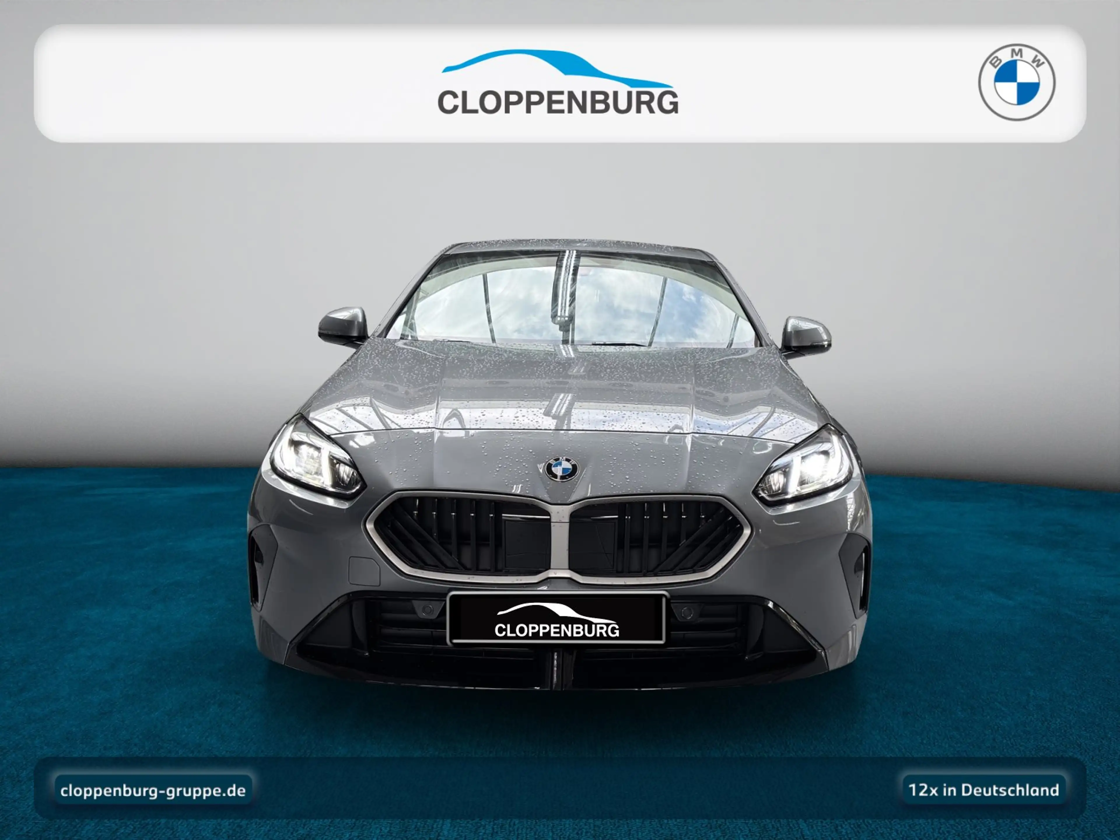 BMW 120 Navi+Kamera+SHZ+Apple+HiFi+Spurass. — photo 10