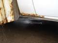 Mercedes-Benz Sprinter 516 (Stock ID 931) Wit - thumbnail 22