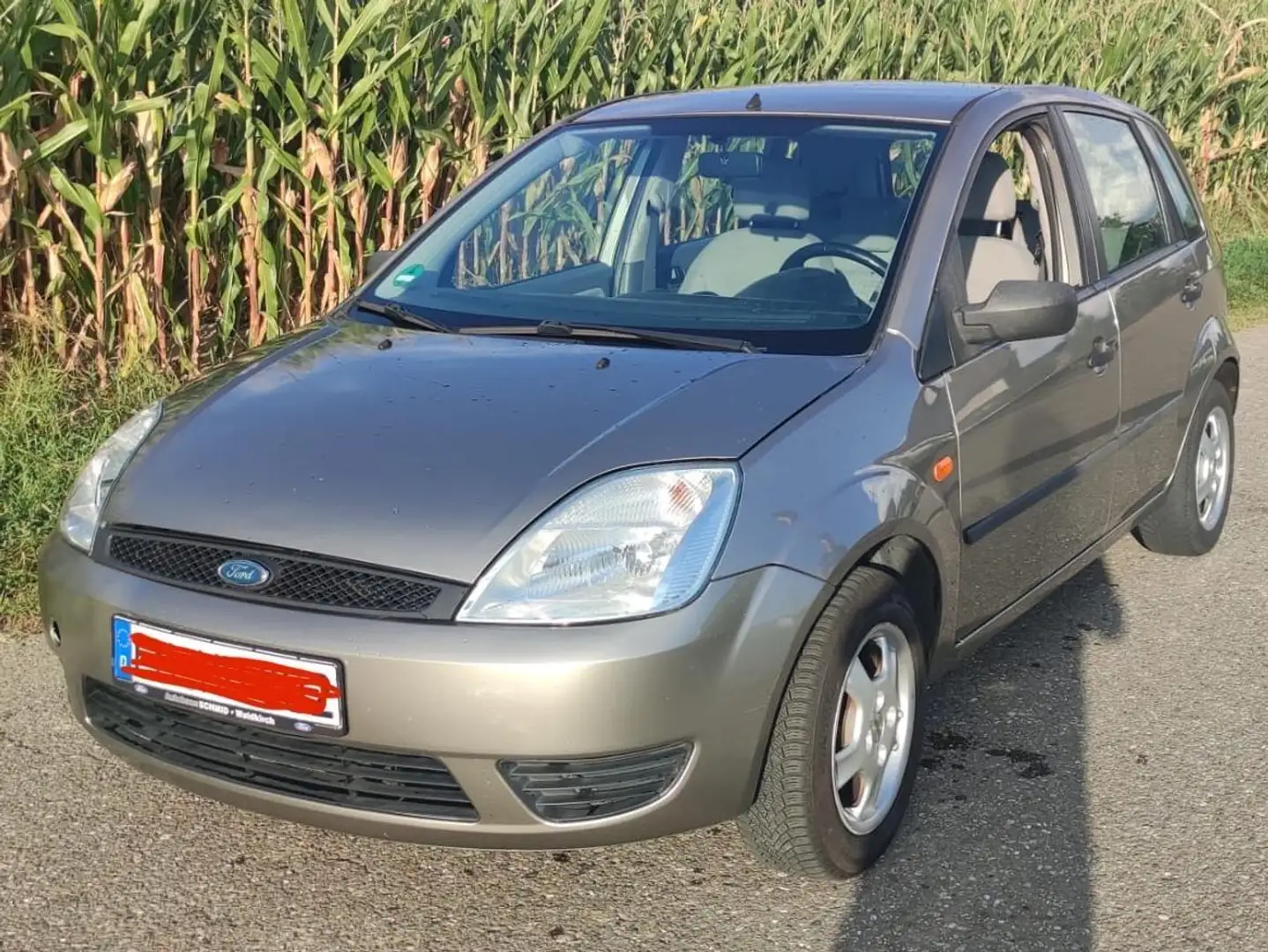 Ford Fiesta Fiesta 1.4 Beige - 1