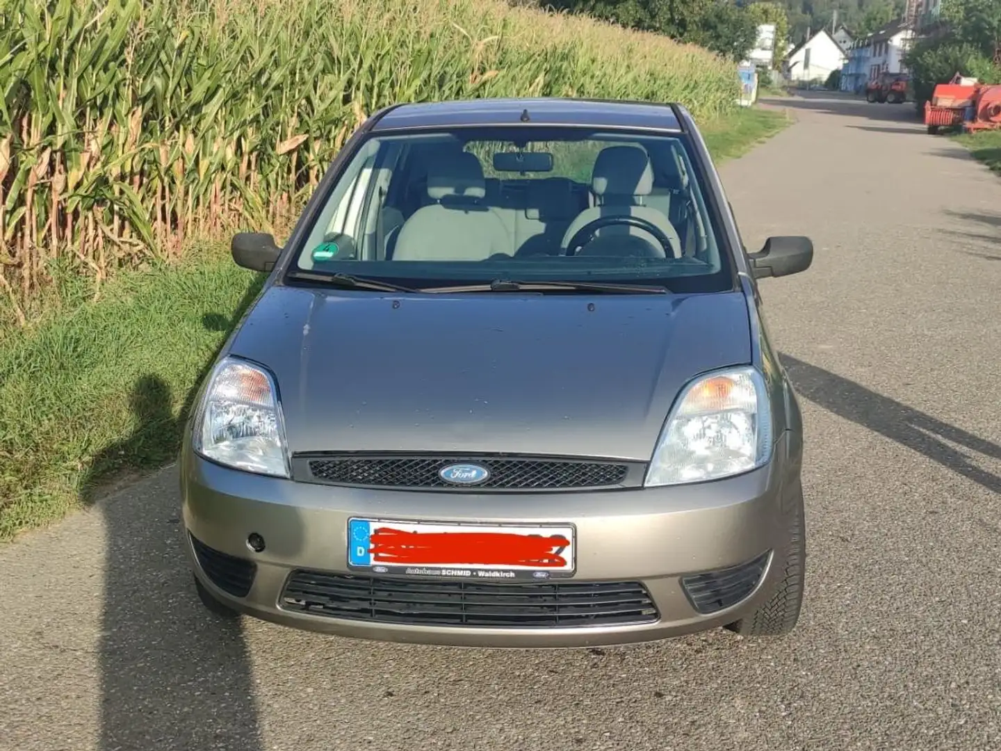 Ford Fiesta Fiesta 1.4 Beige - 2