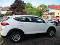 Hyundai TUCSON Select +Navi+Kamera+Sitzheiz+wenig km Weiß - thumbnail 6