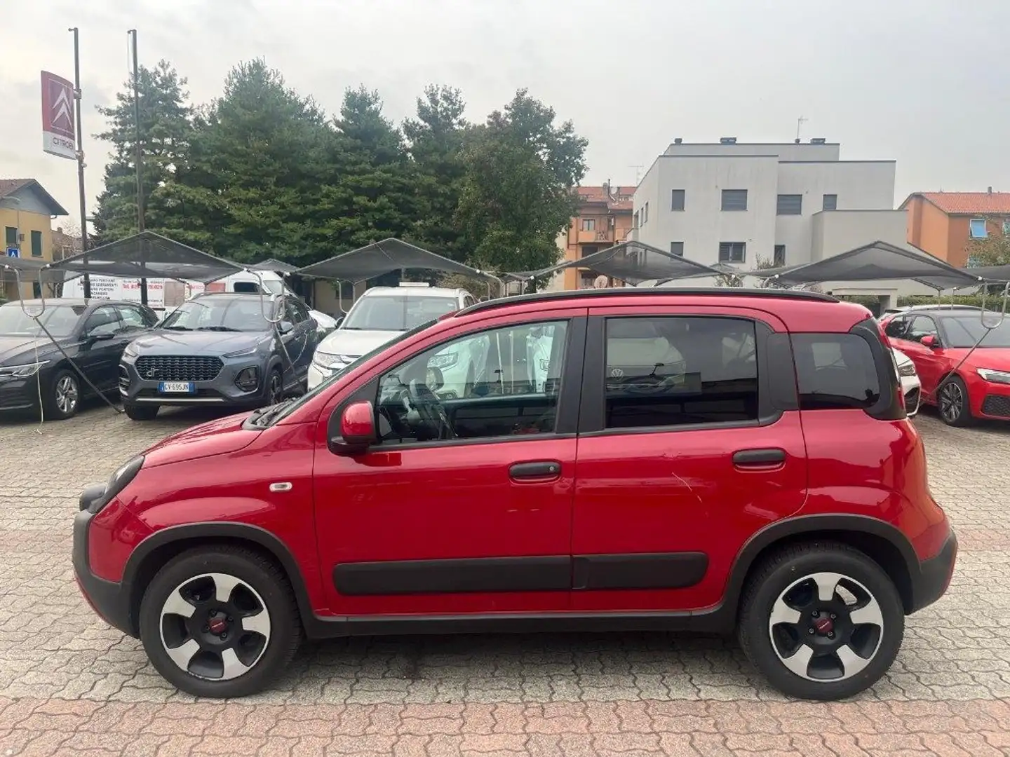 Fiat Panda 1.0 FireFly S&S Hybrid City Cross Rosso - 2