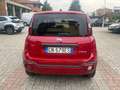 Fiat Panda 1.0 FireFly S&S Hybrid City Cross Rosso - thumbnail 4
