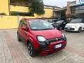 Fiat Panda 1.0 FireFly S&S Hybrid City Cross Rosso - thumbnail 7