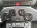 Fiat Panda 1.0 FireFly S&S Hybrid City Cross Rosso - thumbnail 10