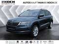 Skoda Karoq 2.0 TDI 4x4 Style NAVI 360° AHZ TOTWINKEL Grau - thumbnail 1