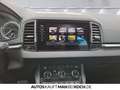 Skoda Karoq 2.0 TDI 4x4 Style NAVI 360° AHZ TOTWINKEL Grau - thumbnail 12