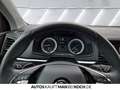 Skoda Karoq 2.0 TDI 4x4 Style NAVI 360° AHZ TOTWINKEL Grau - thumbnail 11