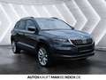 Skoda Karoq 2.0 TDI 4x4 Style NAVI 360° AHZ TOTWINKEL Grau - thumbnail 5