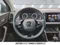 Skoda Karoq 2.0 TDI 4x4 Style NAVI 360° AHZ TOTWINKEL Grau - thumbnail 9