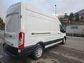 Ford Transit L3H3 170CV Bianco - thumbnail 7