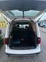 Volkswagen Caddy 4x4 Alltrack Bianco - thumbnail 6