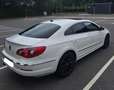 Volkswagen Passat CC Passat CC 2.0 TSI CC DSG Blanc - thumbnail 6