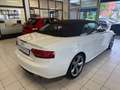Audi A5 SONDERPREIS  3.0 TDI quattro S-Line/ Kamera/AHK Blanc - thumbnail 8