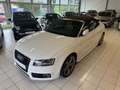 Audi A5 SONDERPREIS  3.0 TDI quattro S-Line/ Kamera/AHK Blanc - thumbnail 3