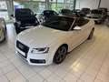 Audi A5 SONDERPREIS  3.0 TDI quattro S-Line/ Kamera/AHK Blanc - thumbnail 2