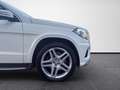 Mercedes-Benz GL 350 GL 350 BlueTEC - BVA 7G-Tronic Plus  - BM X166 Fascination Weiß - thumbnail 18
