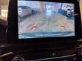 Ford Kuga 2.5 phev ST-Line X 2wd 225cv cvt Blu/Azzurro - thumbnail 12