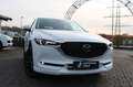 Mazda CX-5 2.2d Exclusive/360°/Navi/ACC/Head-Up Wit - thumbnail 2