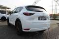 Mazda CX-5 2.2d Exclusive/360°/Navi/ACC/Head-Up Wit - thumbnail 12