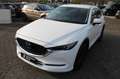 Mazda CX-5 2.2d Exclusive/360°/Navi/ACC/Head-Up Wit - thumbnail 9
