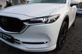 Mazda CX-5 2.2d Exclusive/360°/Navi/ACC/Head-Up Wit - thumbnail 10