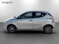 Lancia Ypsilon 1.3 mjt Platinum s&s 95cv E5+ Wit - thumbnail 4