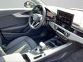 Audi A4 Advanced 35 TFSI S-tronic +LED+KAMERA+ Grey - thumbnail 12