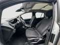 Ford B-Max B-MAX Titanium // Klima*SHZ*PANO*PDC*TÜV NEU Silber - thumbnail 9