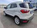 Ford EcoSport 1.5 Ecoblue 95 CV Start&Stop Titanium Бежевий - thumbnail 4