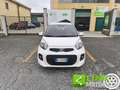 Kia Picanto 1.0 12V 5 porte Glam Bianco - thumbnail 2